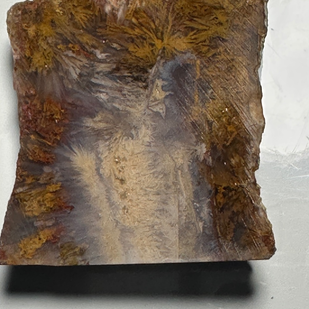 Rare and Old stock Nipomo Sagenite plume agate Inyo co California